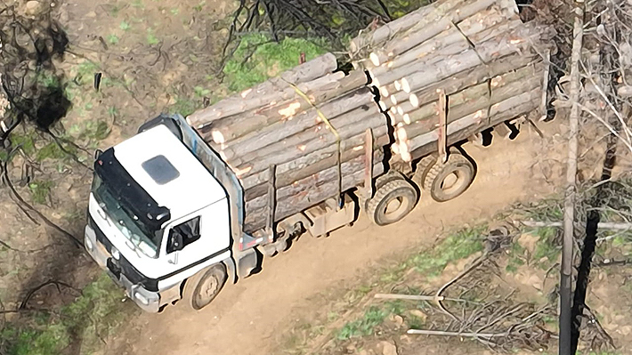 Dejan En Prisión Preventiva A Dos Nuevos Imputados Por Robo De Madera