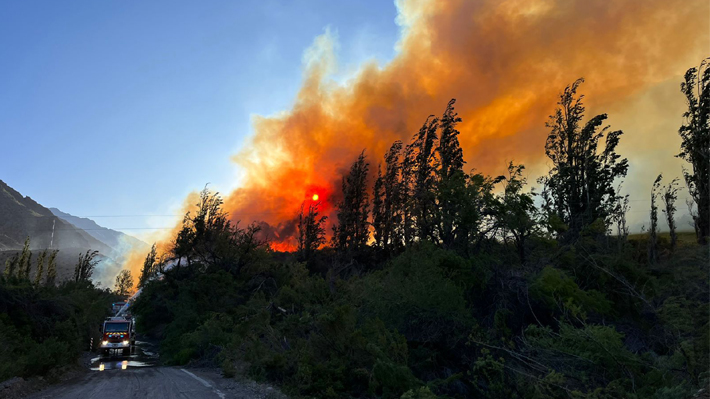 Onemi Informa De Siete Incendios Forestales Activos En Todo Chile Cuatro Son En La Región Del Maule 5029