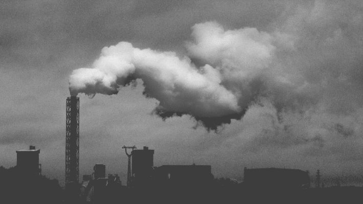 COP27: ¿Cómo se sitúan las pequeñas empresas en relación con la descarbonización?