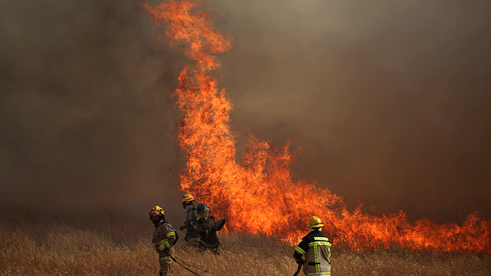 Diez Incendios Forestales Están Siendo Combatidos En El País En Santa Cruz Lolol Quilpué Y 1514