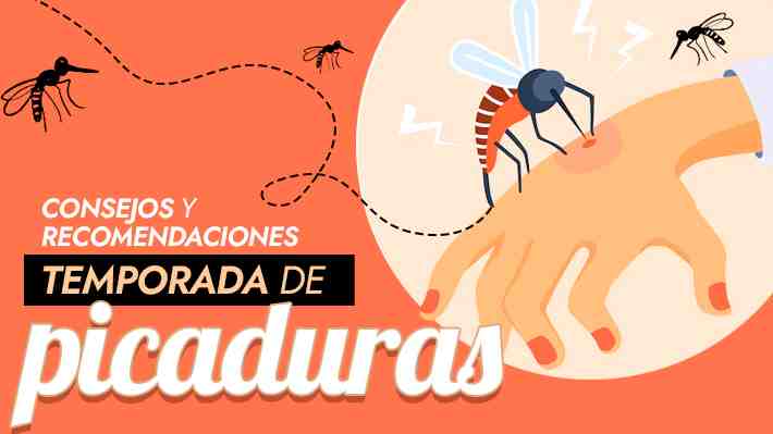 Temporada de picaduras: Chequea los consejos y las recomendaciones para cuidarse de los insectos en la naturaleza