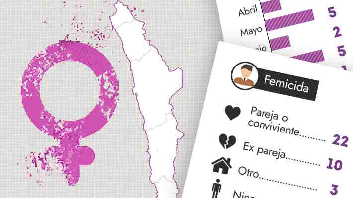36 femicidios se han registrado en Chile durante 2022: ¿Dónde ocurrieron estos delitos y quienes son las víctimas?
