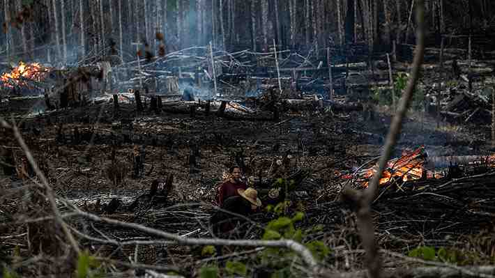 A una semana del cambio de mando en Brasil: El desafío de Lula de recuperar una Amazonía dañada por la deforestación