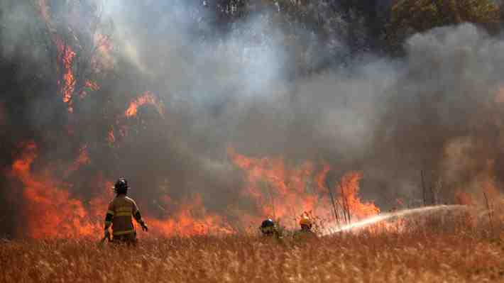 Declaran alerta roja para Valdivia y Corral por incendio forestal que amenaza a viviendas