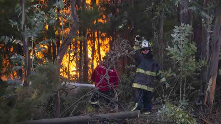 Senapred ordena la evacuación en sectores de 14 comunas del Ñuble, Biobío y Araucanía por incendios forestales