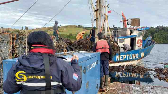 Robo de pescado: Las cuantiosas pérdidas y el desafío para enfrentar una de las tres sustracciones más lucrativas en Chile