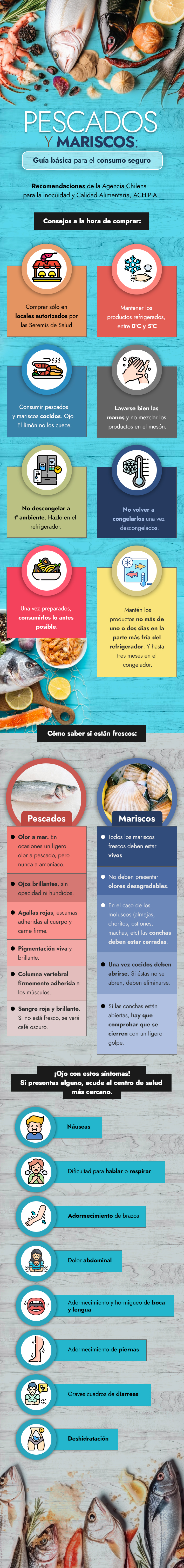 Productos del mar abundan en Semana Santa: Lo que debes saber para consumir  de forma segura pescados y mariscos 