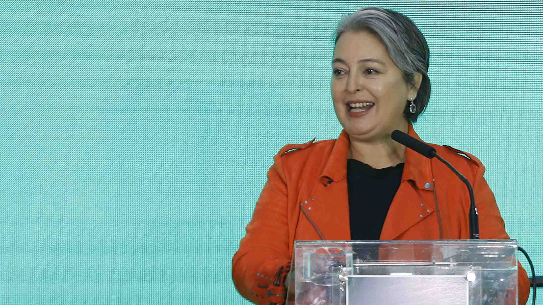 Gobierno pide a oposición no "insistir en retardar" avance del salario mínimo pese a rechazo gremios pymes