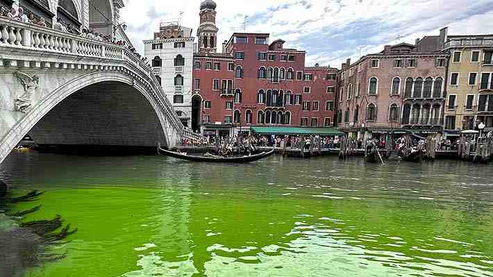 Fotos | Agua del Gran Canal de Venecia se tiñe de un misterioso verde fluorescente