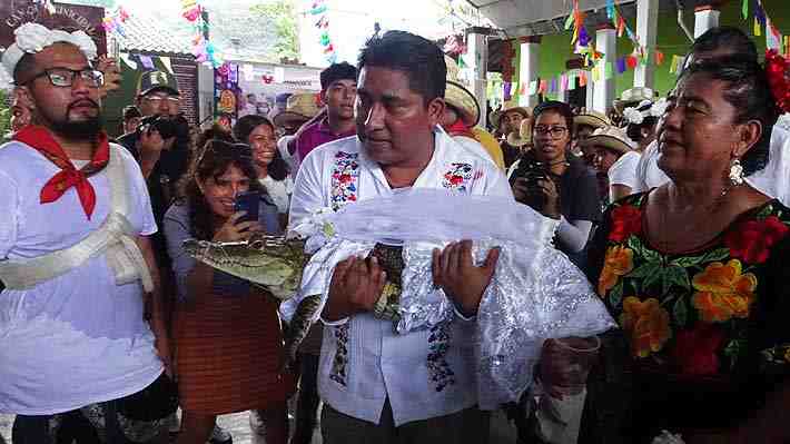 Alcalde "se casa" con un caimán en México: "Matrimonio" es parte de un ritual ancestral para pedir prosperidad y abundancia