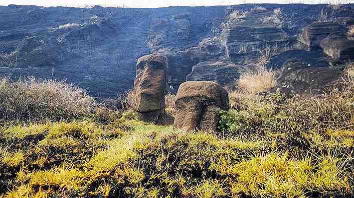 Pericia Unesco: Incendios forestales de octubre pasado afectaron a 222 moáis de cantera en Rapa Nui