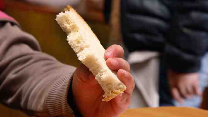 Chiloé, Arauco y Aysén lideran obesidad infantil, con cifras que casi duplican otras zonas del país