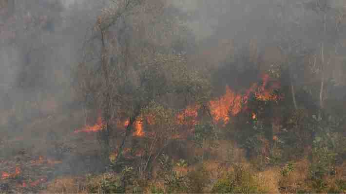 Senapred declara alerta roja y ordena la evacuación de sectores en comuna de Alto del Carmen por incendio forestal