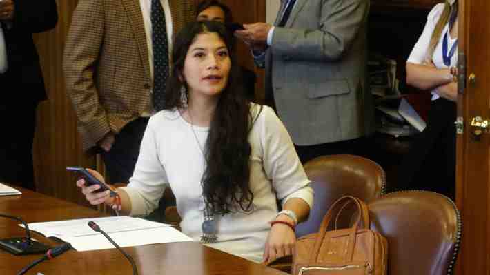 Pese a reconocer que no tiene antecedentes, diputada Ñanco vuelve a vincular a "políticos de derecha" con robo a ministerios