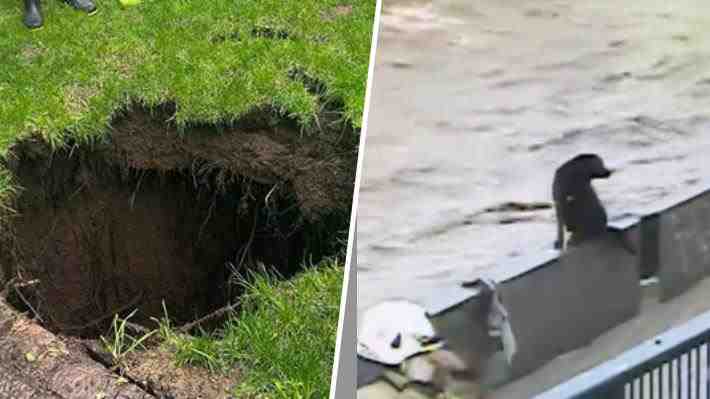 Socavón en La Reina, caída de piedras en La Pirámide y rescate de perros en el Mapocho: Los estragos de las lluvias en la RM