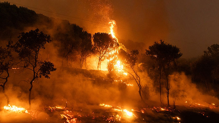 Grecia enfrenta más de 60 incendios forestales en un día