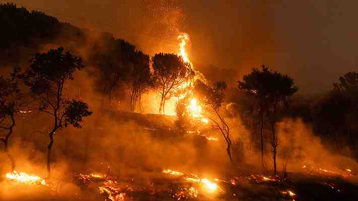 Grecia enfrenta el incendio más grande registrado en la Unión Europea con más de 73.000 hectáreas quemadas
