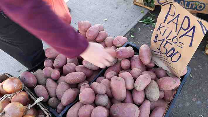 "Buena señal" y "no es necesario que el Estado materialice dicha acción": La mirada de expertos a la importación de papas