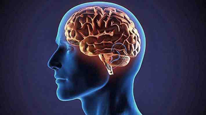Descubren nueva célula en el cerebro que podría impactar en el tratamiento del Alzhéimer y el Párkinson
