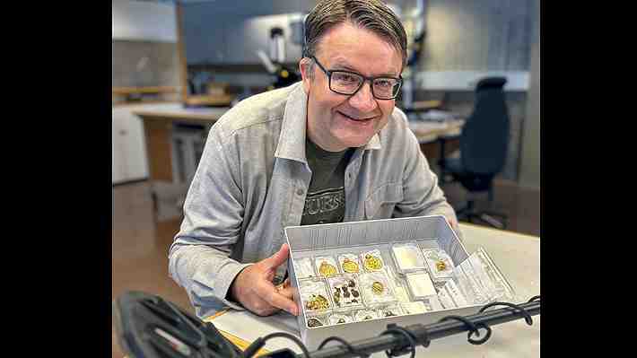 Arqueólogo amateur halló valiosas joyas de hace unos 1.500 años con su detector de metales en Noruega