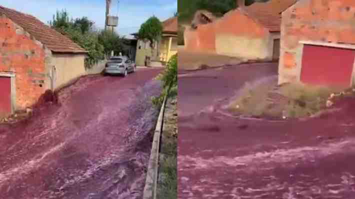 Video | Río de vino tinto inundó las calles de localidad portuguesa luego de que estallaran dos tanques de una destilería
