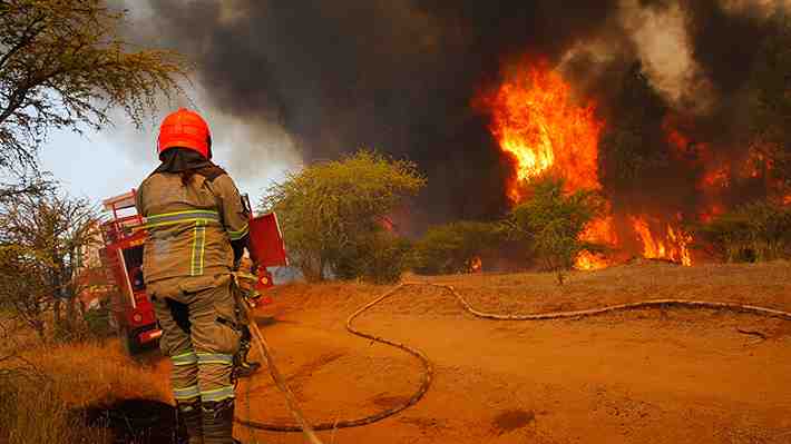 Fiscalía acusa que empresas eléctricas tuvieron responsabilidad en incendios que dejaron 17 fallecidos durante el verano