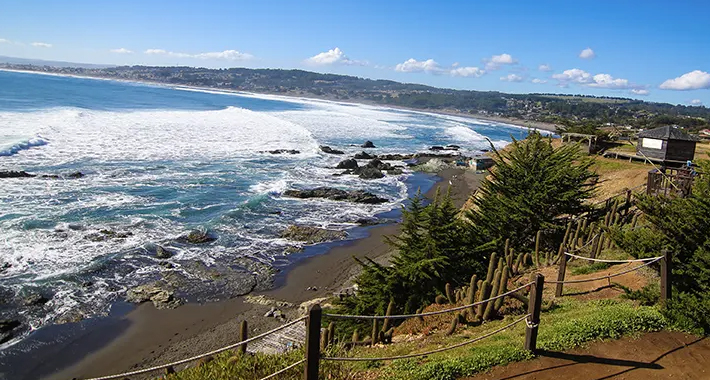 Punta De Lobos (Pichilemu)