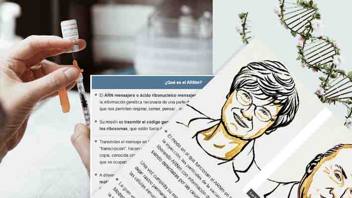 Descifrando el ARN mensajero: La molécula que "transporta vida" y cuya investigación se hizo meritoria del Nobel