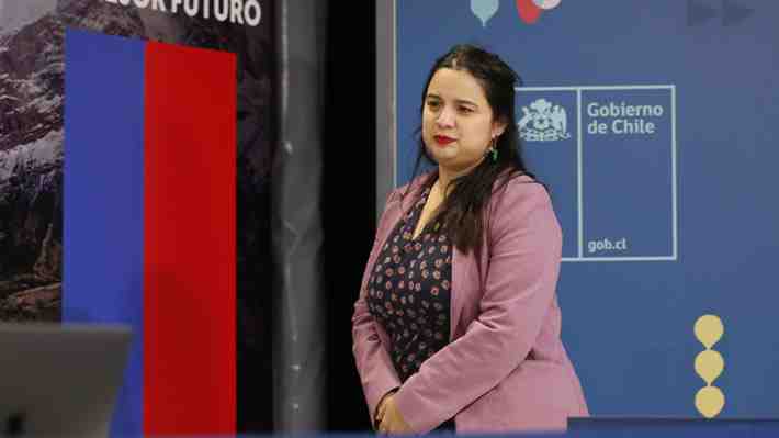 Posible exclusión de Martínez (Dipres) en la tramitación del presupuesto 2024 en la Cámara podría complicar al Gobierno