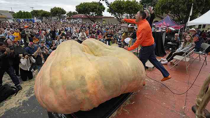 EE.UU.: Profesor de horticultura rompe récord mundial de la calabaza más pesada con una de 1.247 kilos