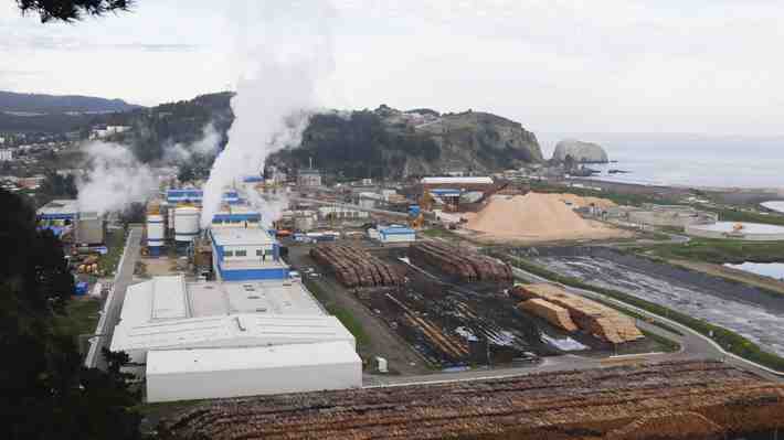 Arauco despide a 300 trabajadores en medio de proceso de reestructuración de operaciones