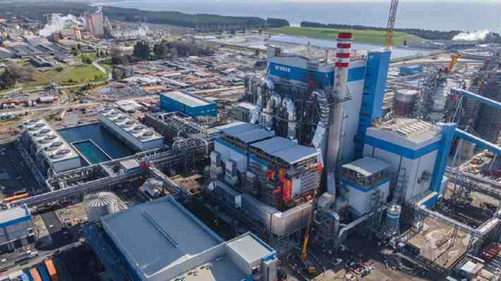 Pérdidas por más de US$100 millones, despidos masivos y cierre de plantas: El difícil 2023 para forestal Arauco