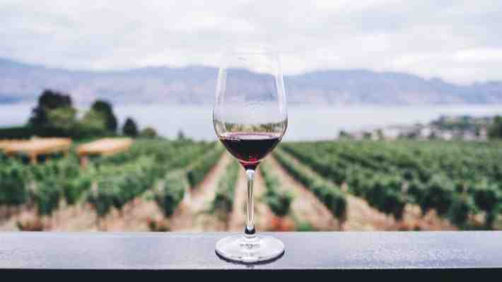 Viña chilena es nominada a los "Oscar de los Vinos"