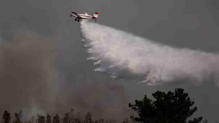 Conaf activó Botón Rojo para seis regiones por peligro de propagación de incendios forestales