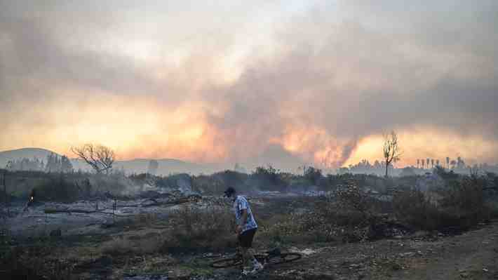 Director de Conaf RM advierte que temporada de incendios será peor que la del año pasado: "Habrá mayor simultaneidad"