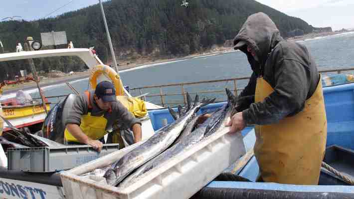 Limitar concentración y redefinir fraccionamiento entre industriales y artesanales: Las claves de la nueva ley de Pesca