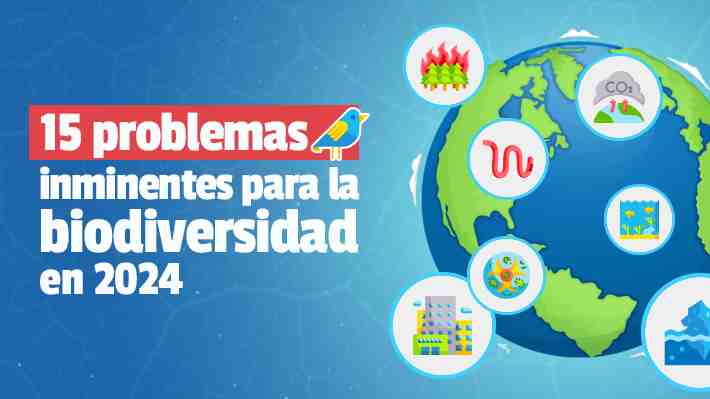 Científicos de Cambridge enlistan los principales desafíos y riesgos que enfrentará la biodiversidad en 2024