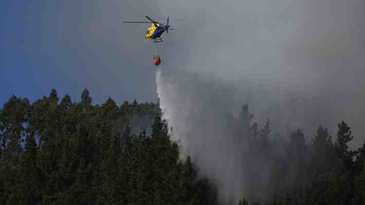 Decretan alerta roja para Valparaíso por incendio forestal que amenaza a la Reserva Lago Peñuelas