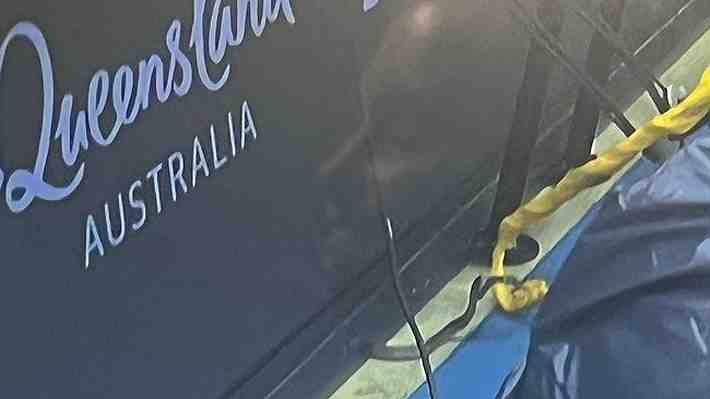 Increíble... Partido de Dominic Thiem en Australia debió interrumpirse por la aparición de una serpiente venenosa