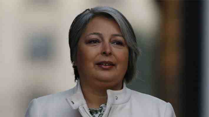 Jara asegura que no informó y no recibió autorización del Presidente para ir a casa de Zalaquett