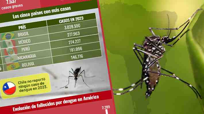 Casi 4,5 millones de casos y dos mil fallecidos: Las cifras del dengue en América y por qué Brasil está en alerta