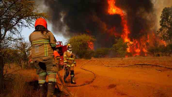 Senapred ordena evacuar sector de la comuna de Puerto Montt por avance de incendio forestal