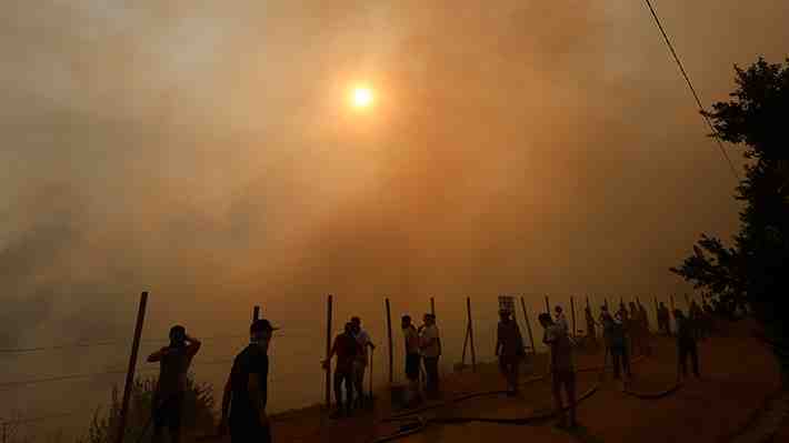 "Falta un fortalecimiento de instituciones": Expertos apuntan a incapacidad del Estado para enfrentar incendios forestales