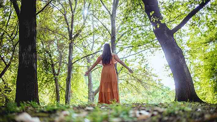 Baño de bosque, la sencilla práctica para hacer en la naturaleza que disminuye el estrés y regula el ritmo cardíaco