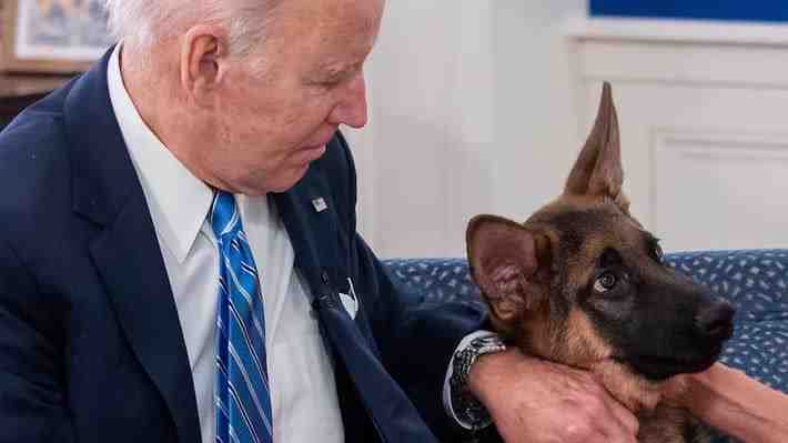 Servicio Secreto de EE.UU. revela que Commander, el perro de Joe Biden, mordió a 24 agentes de la institución