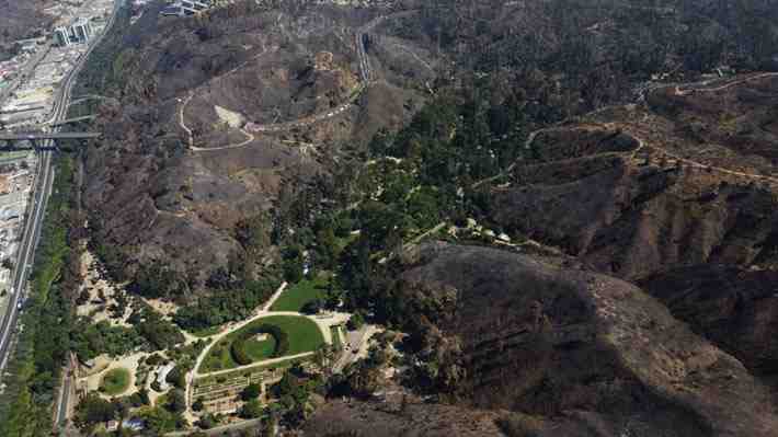 A 45 días del incendio fallece funcionario del Jardín Botánico de Viña: Estaba hospitalizado desde inicio de febrero