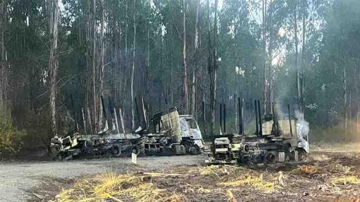Nuevo atentado incendiario: Queman vehículos y maquinaria forestal en Freire