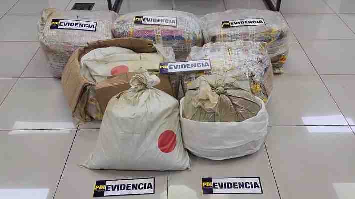 261 kilos que venían en encomienda desde Perú: PDI realiza la mayor incautación de droga "kratom" hasta la fecha
