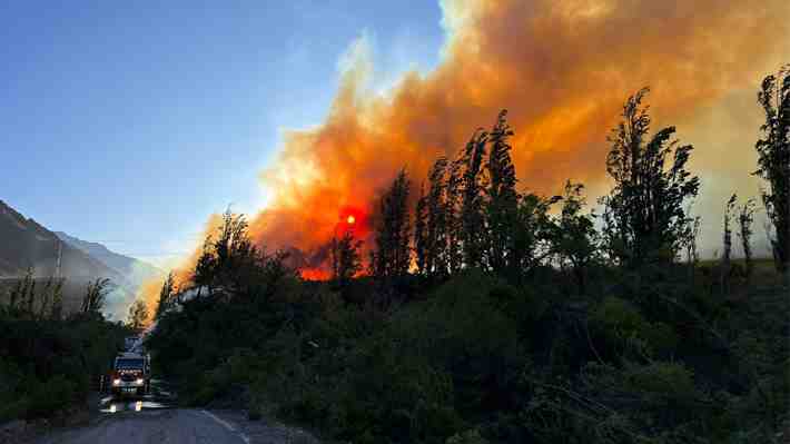 Informe de Conaf: Intencionalidad de incendios forestales alcanza un 54% en la región del Biobío