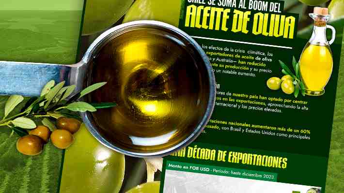 "Boom" del aceite de oliva chileno: ¿Cuáles son las marcas que más venden y los mercados que acaparan el producto nacional?